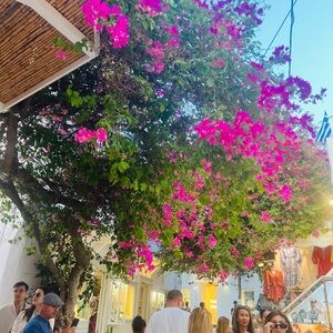 Meet your Posher, AnnMarie